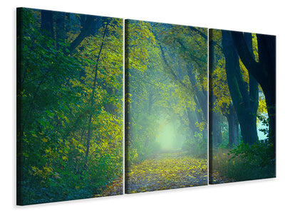 3-piece-canvas-print-green-forest