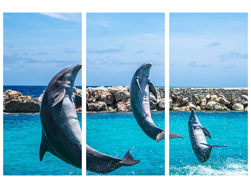 3-piece-canvas-print-3-dolphins