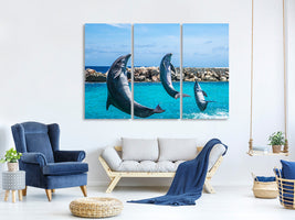 3-piece-canvas-print-3-dolphins
