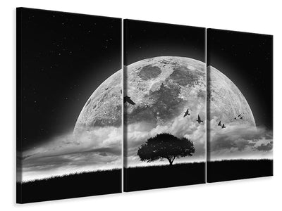 3-piece-canvas-print-a-dream