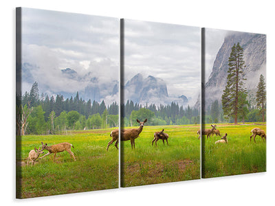 3-piece-canvas-print-a-feeling-of-ancient-time