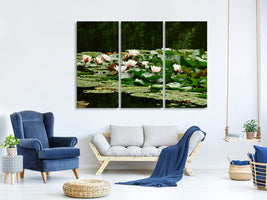 3-piece-canvas-print-a-field-full-of-water-lilies