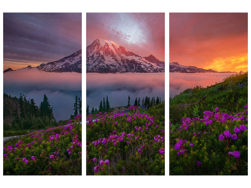 3-piece-canvas-print-a-moment-in-time