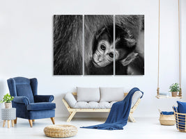 3-piece-canvas-print-a-mothers-love