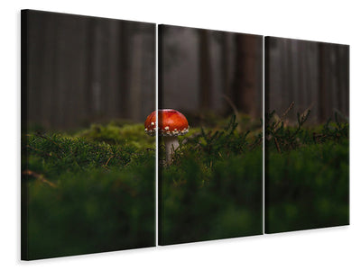 3-piece-canvas-print-a-mushroom-in-the-forest