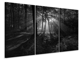 3-piece-canvas-print-a-sunny-morning