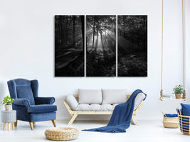 3-piece-canvas-print-a-sunny-morning