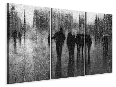 3-piece-canvas-print-after-the-rain
