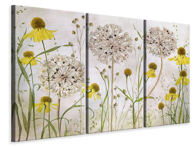 3-piece-canvas-print-alliums-and-heleniums