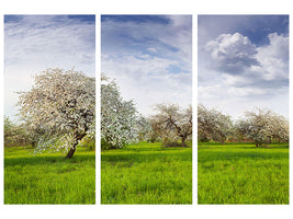 3-piece-canvas-print-apple-tree-garden