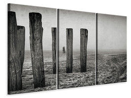 3-piece-canvas-print-astray