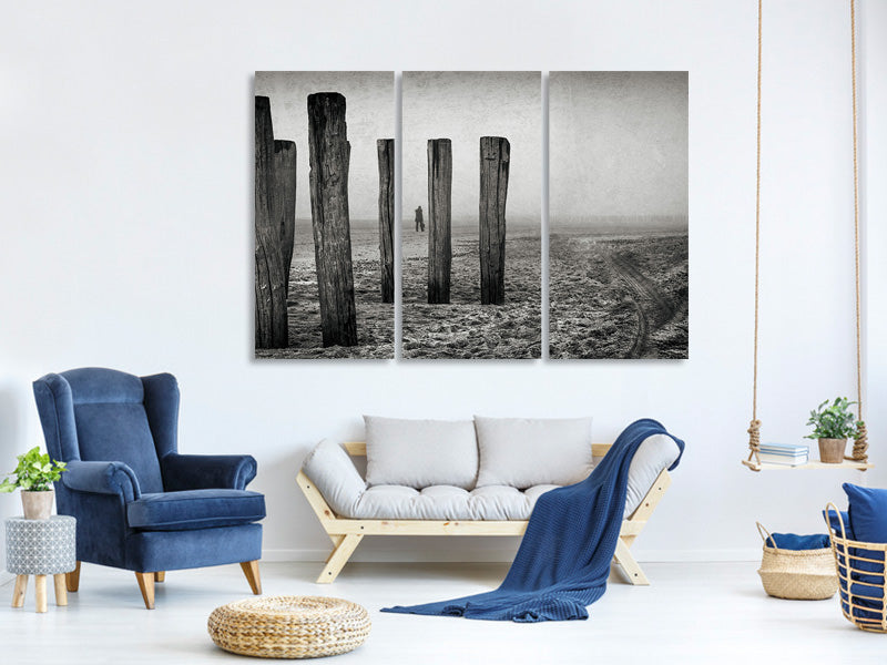 3-piece-canvas-print-astray