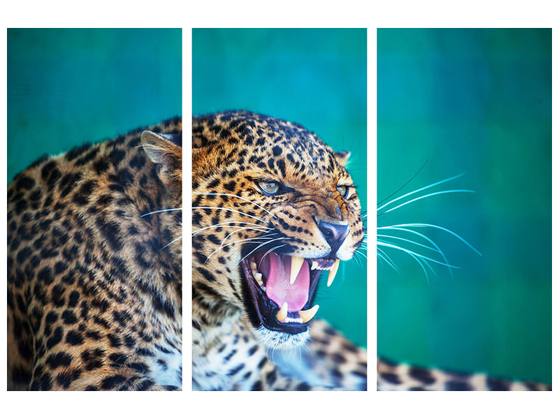 3-piece-canvas-print-attention-leopard
