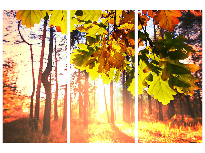 3-piece-canvas-print-autumn