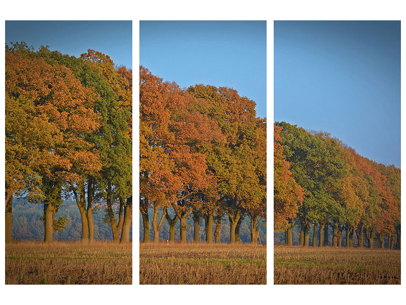 3-piece-canvas-print-beautiful-autumn