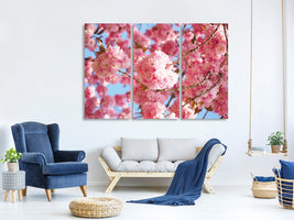 3-piece-canvas-print-beautiful-cherry-blossoms