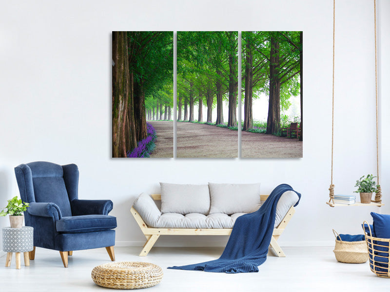 3-piece-canvas-print-beautiful-tree-avenue