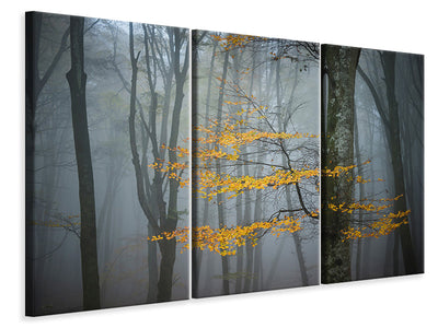 3-piece-canvas-print-beech-forest-in-autumn