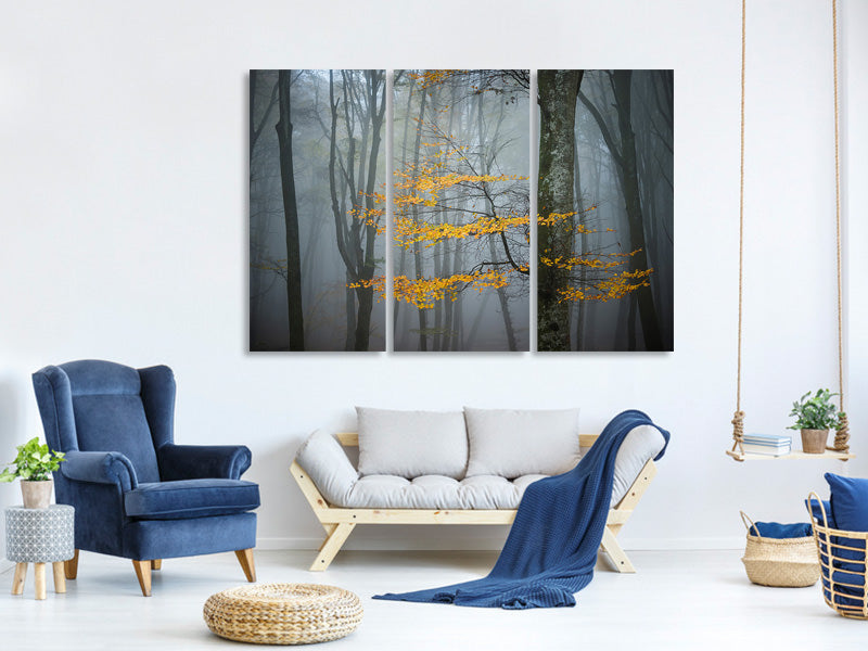 3-piece-canvas-print-beech-forest-in-autumn