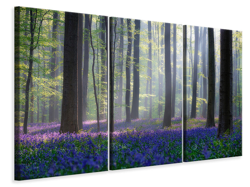 3-piece-canvas-print-bluebells