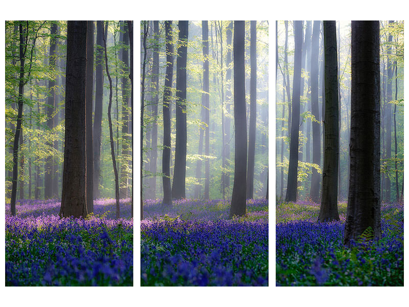 3-piece-canvas-print-bluebells