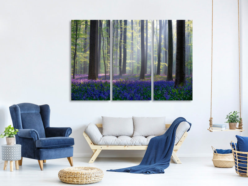 3-piece-canvas-print-bluebells