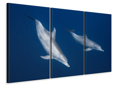 3-piece-canvas-print-bottlenose-dolphins