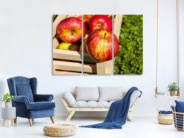 3-piece-canvas-print-box-of-apples