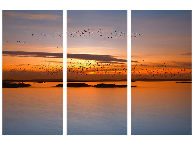 3-piece-canvas-print-by-sunset