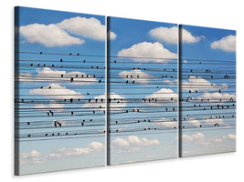 3-piece-canvas-print-cantus-arcticus-concerto-for-birds