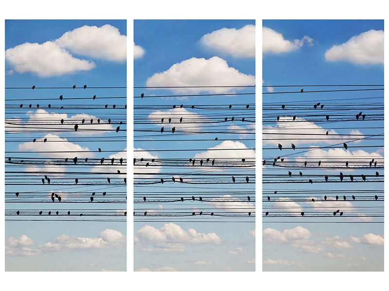 3-piece-canvas-print-cantus-arcticus-concerto-for-birds