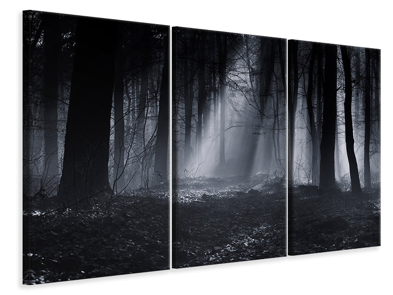 3-piece-canvas-print-capela-forest