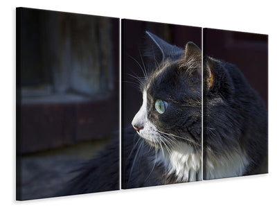 3-piece-canvas-print-cat39s-head-xl