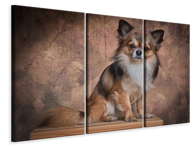 3-piece-canvas-print-chihuahua-portrait