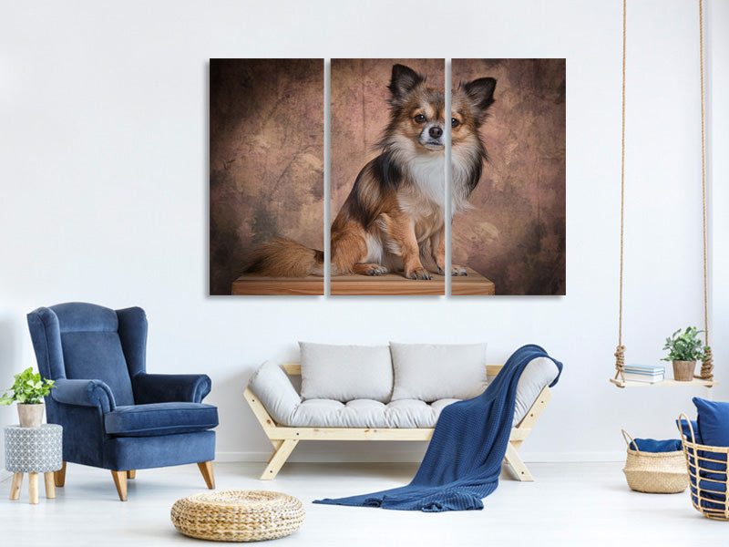 3-piece-canvas-print-chihuahua-portrait