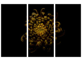 3-piece-canvas-print-chrysanthemum