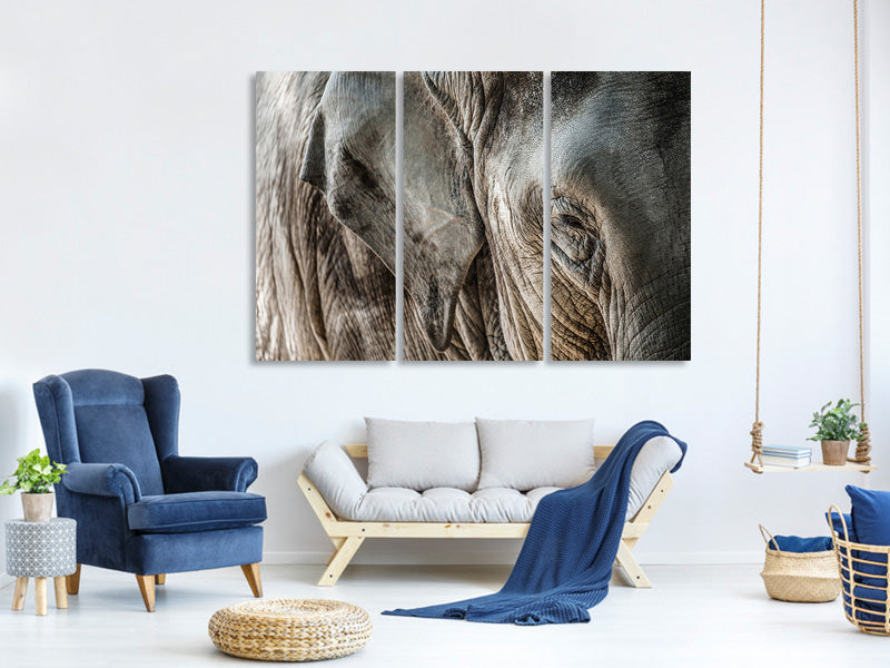 3-piece-canvas-print-close-up-elephant