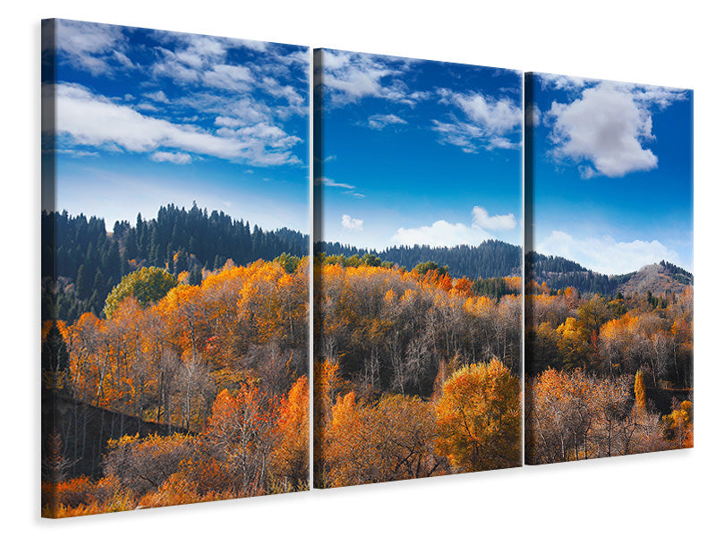 3-piece-canvas-print-clouds-gather