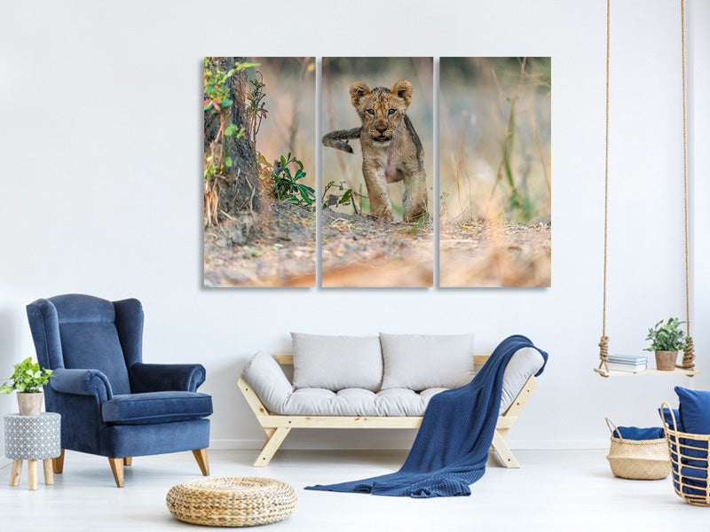 3-piece-canvas-print-cub-south-luangwa