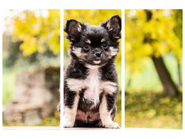 3-piece-canvas-print-cute-chihuahua-puppy