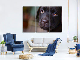 3-piece-canvas-print-cute-labrador-puppy