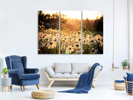 3-piece-canvas-print-daisies-at-sunset