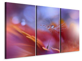 3-piece-canvas-print-dance-in-the-light