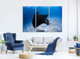 3-piece-canvas-print-dancing-manta