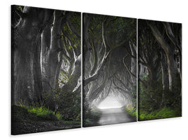 3-piece-canvas-print-dark-hedges