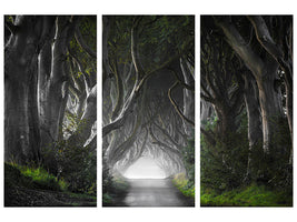 3-piece-canvas-print-dark-hedges