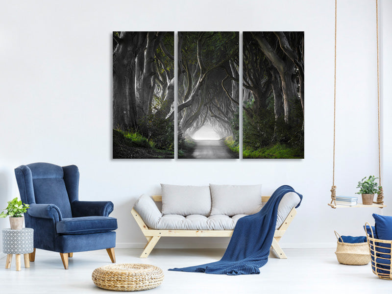 3-piece-canvas-print-dark-hedges