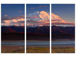 3-piece-canvas-print-denali-national-park