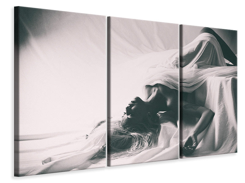 3-piece-canvas-print-dreams