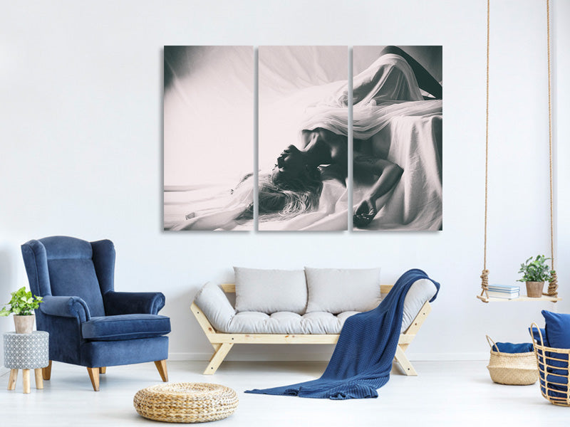 3-piece-canvas-print-dreams